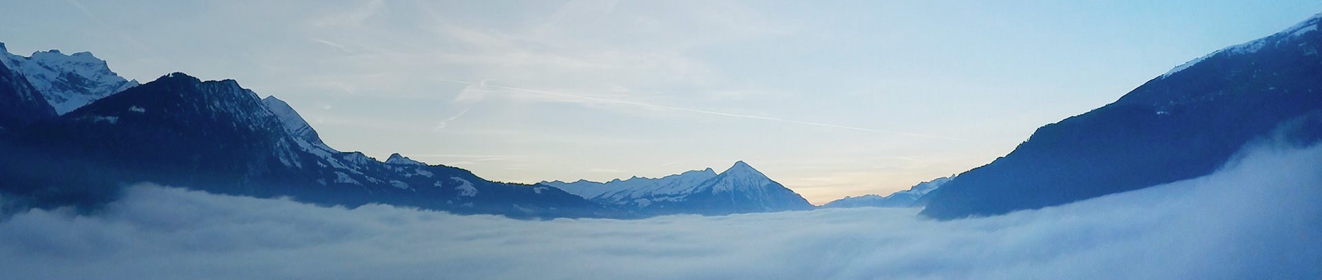 ��ҳ| ���������й��ٷ���վ